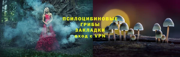 амф Арсеньев