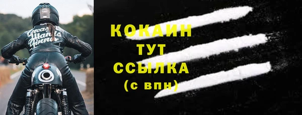 прущие грибы Армянск