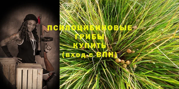 амф Арсеньев