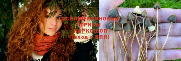 амф Арсеньев