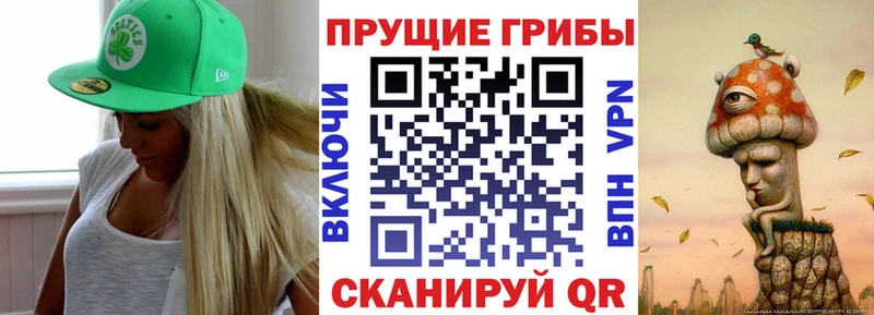 Псилоцибиновые грибы GOLDEN TEACHER  blacksprut ССЫЛКА  Белогорск  где продают  