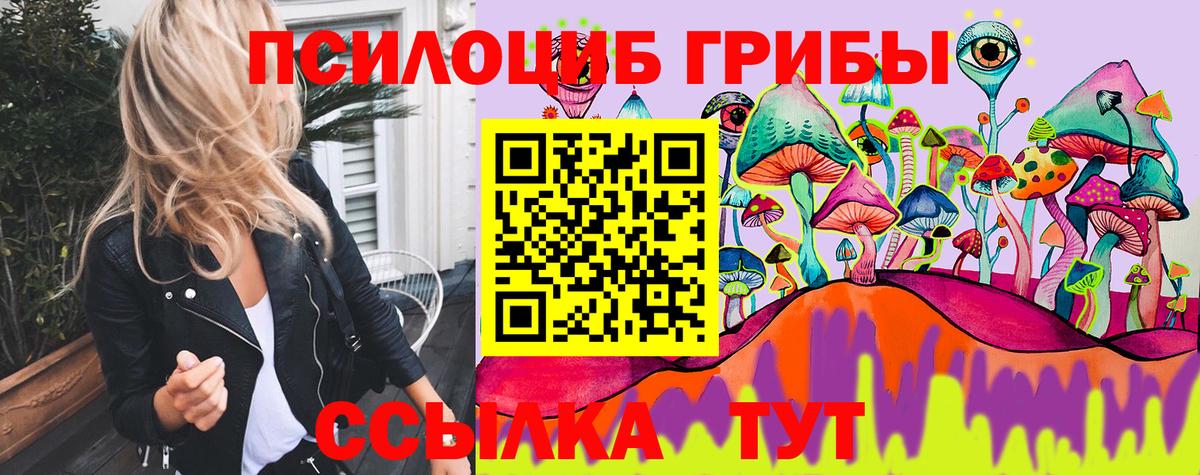 Псилоцибиновые грибы Psilocybine cubensis Белогорск