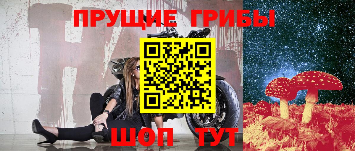 Белогорск  Галлюциногенные грибы Psilocybe  Вход с VPN  Галлюциногенные грибы ЛСД 